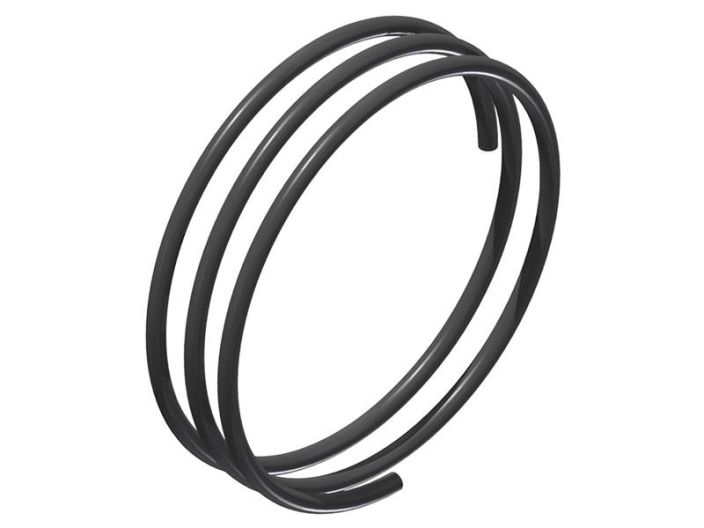 DT SWISS DT Spare part SPRING RATCHET EXP