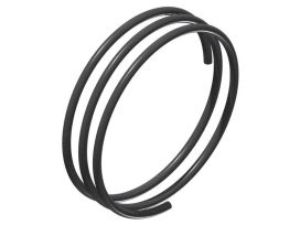 DT Swiss DT SWISS Spare part SPRING RATCHET EXP